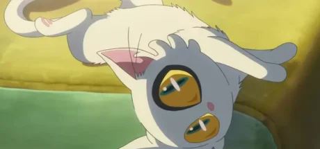 日本网友分享“小学一年级做的猫咪研究”，猫咪究竟有没有惯用手！实验200次的毅力获得众人赞赏！ - 我的世界基岩版中文站