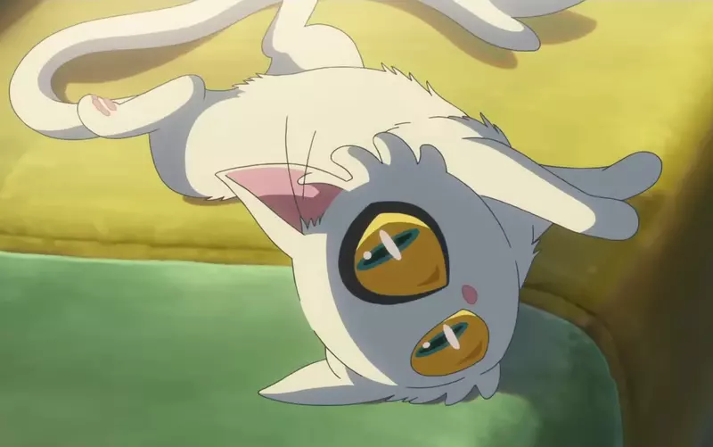 日本网友分享“小学一年级做的猫咪研究”，猫咪究竟有没有惯用手！实验200次的毅力获得众人赞赏！ - 奇趣星球报 - 奇趣星球报