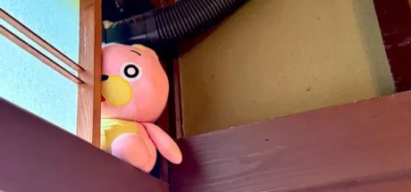 日本装空调师傅交代“要填补管道缝隙”，没想到网友们发挥各种想象力！有的人甚至拿玩偶来填缝隙！ - 我的世界基岩版中文站