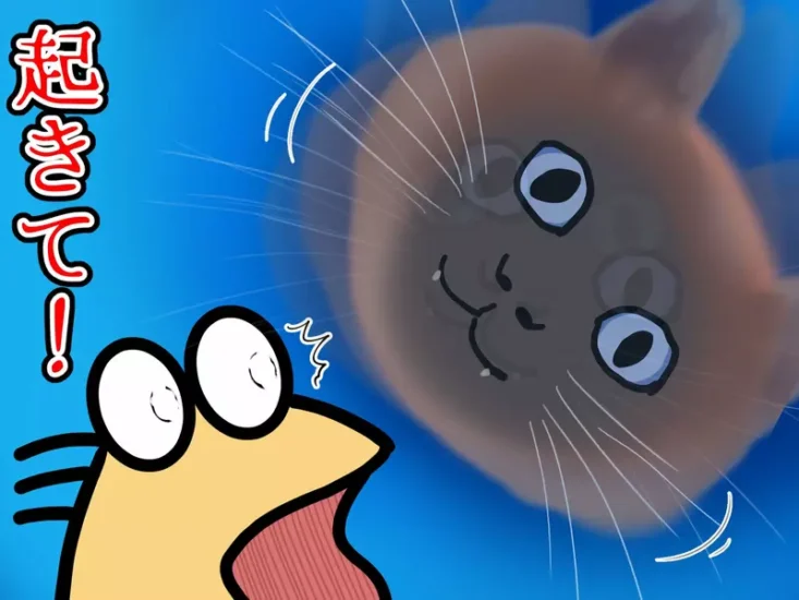 日本网友议论“当猫咪戴上头套的结果”，饲主每天早上都被他的猫咪吓醒！连作梦都会梦到猫咪的大脸！ - 奇趣星球报 - 奇趣星球报