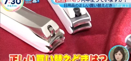 日本电视节目分享“指甲剪的耐用年限”，你家的是不是用了10年以上！一旦剪指甲出现“压啪声”，就代表该换了！ - 我的世界基岩版中文站