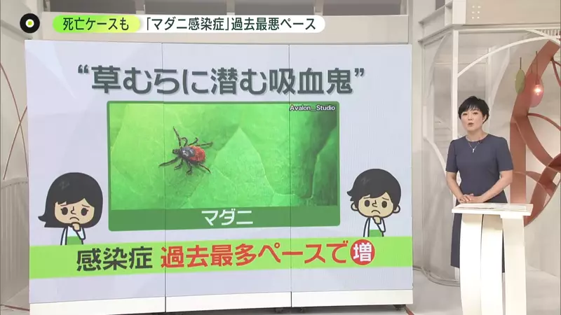 我的世界基岩版【】下载