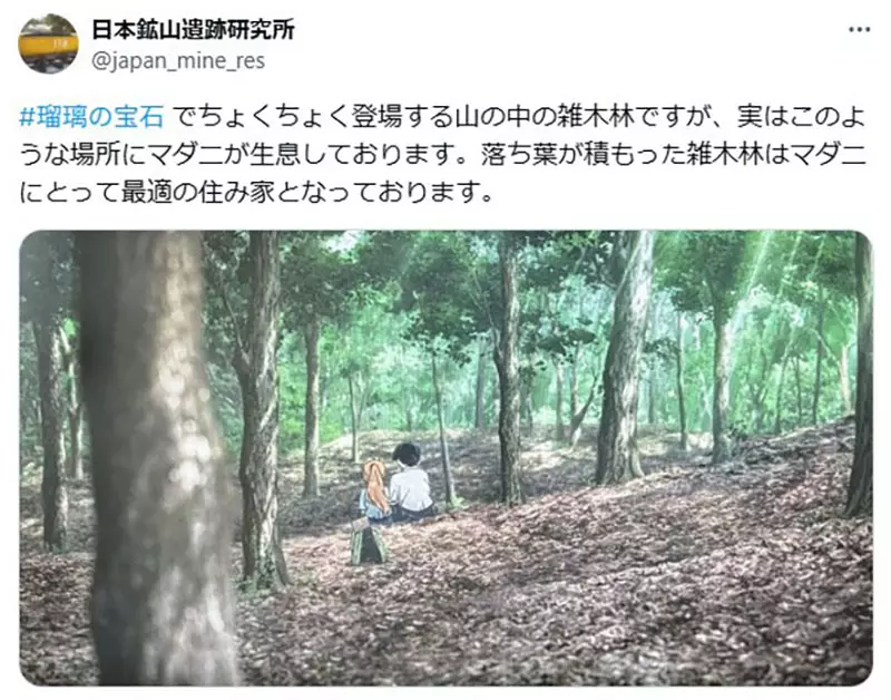 我的世界基岩版【】下载