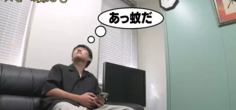 日本综艺分享“夏天如何更有效的抓住蚊子”，被蚊虫叮咬后该做些什么！才可以有效缓解痒痒感！ - 我的世界基岩版中文站