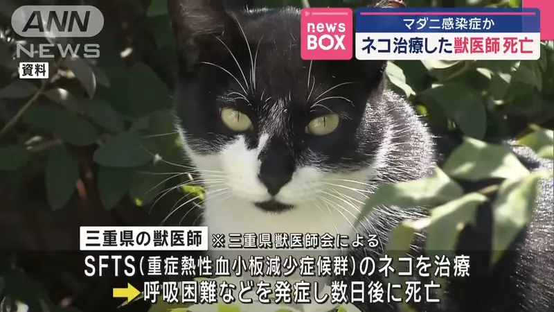 我的世界基岩版【】下载