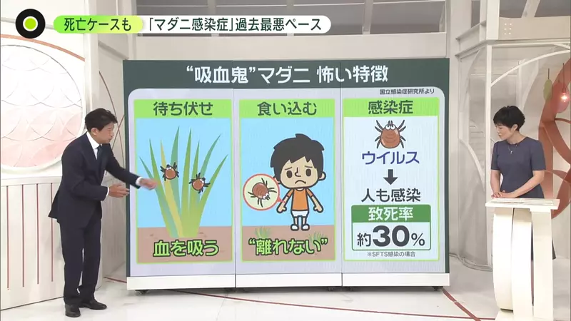 我的世界基岩版【】下载