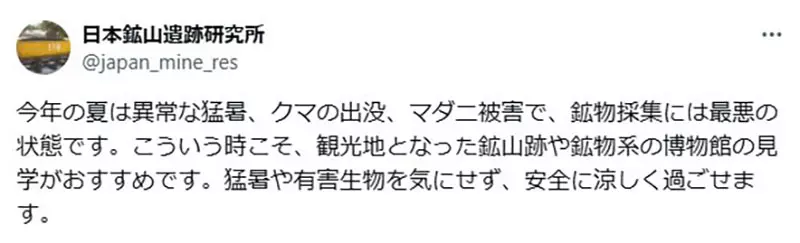 我的世界基岩版【】下载