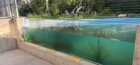 日本竹岛水族馆的“亚克力玻璃警告说明”，由于警告标语写得内容过于直白！而格外引人注目！ - 我的世界基岩版中文站