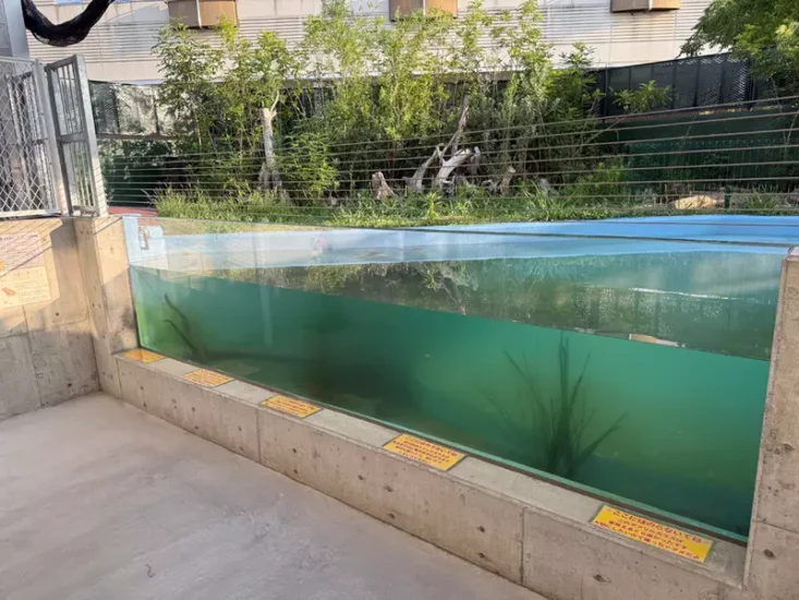 日本竹岛水族馆的“亚克力玻璃警告说明”，由于警告标语写得内容过于直白！而格外引人注目！ - 奇趣星球报 - 奇趣星球报