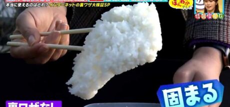 日本综艺节目分享“白饭冷掉不会结块的小妙招”,只需要添加了橄榄油!就能够有效防止米饭结块! - 我的世界基岩版中文站