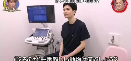 日本电视台调查“在兽医眼中哪种动物最难检查”,最后结论没想到竟是乌龟! - 我的世界基岩版中文站