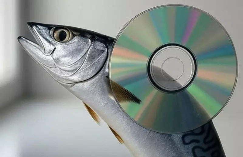 日本网友议论“鲭鱼与CD的神祕关联”，鲭鱼捕得多CD就会卖得好！许多人开始分析其中的相关性！ - 奇趣星球报 - 奇趣星球报