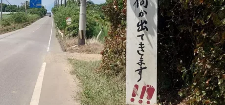 日本网友议论“沖绳神秘警示牌”，小心路边有东西跑出来！所以到底是什么东西啊！ - 我的世界基岩版中文站