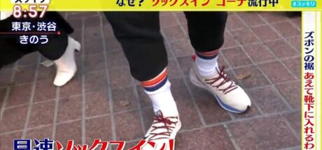 日本电视台探访“裤子塞进袜子的穿搭法”，年轻人看法两极！每个人背后都有自己的理由和动机！ - 我的世界基岩版中文站