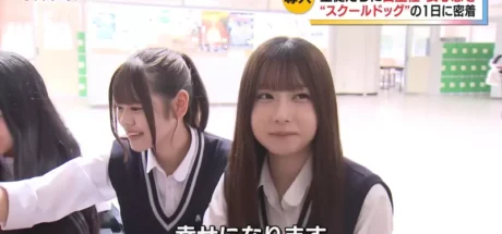 日本电视台探访“学校欲引进校犬和师生互动”，本意是希望减轻学生在校生活压力！然而网友却全被新闻里的可爱女生吸引住了！ - 我的世界基岩版中文站