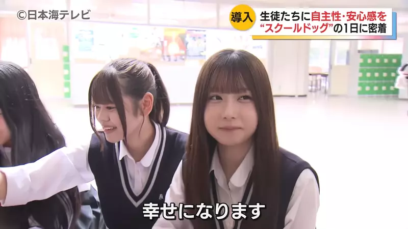 日本电视台探访“学校欲引进校犬和师生互动”，本意是希望减轻学生在校生活压力！然而网友却全被新闻里的可爱女生吸引住了！ - 奇趣星球报 - 奇趣星球报