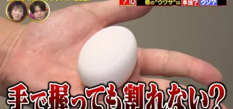 日本电视台分享冷知识“鸡蛋用手捏不破”,除非你的握力强到惊人!然而网友照着做却轻易捏爆了! - 我的世界基岩版中文站