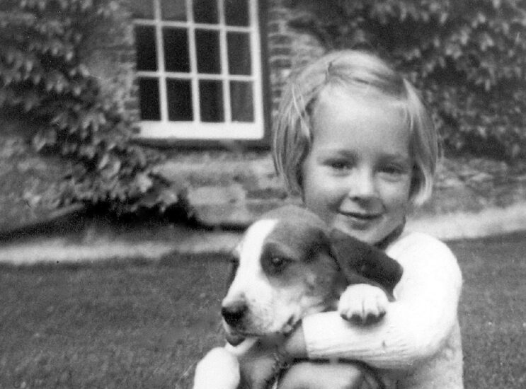 23 岁勇闯非洲,目睹黑猩猩战争!珍·古道尔博士的传奇一生,让人看见「希望」的真正意义! - 奇趣星球报 - 奇趣星球报