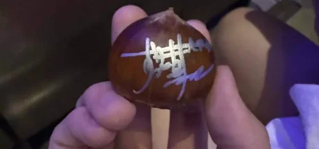 日本网友议论“粉丝参加演唱会拿到奇葩纪念品”,乐团演出后得到签名栗子却又喜又忧!急忙寻找让栗子永久保存的办法! - 我的世界基岩版中文站