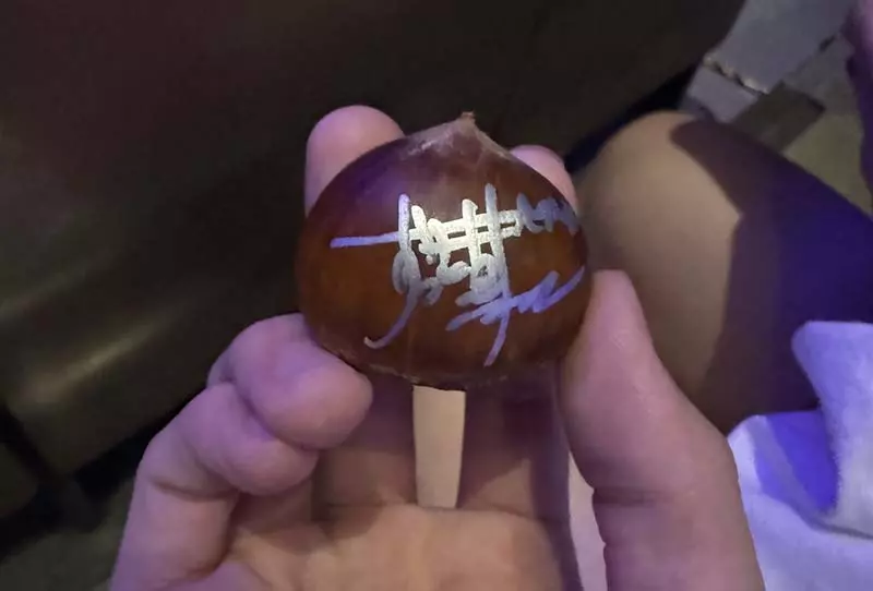 日本网友议论“粉丝参加演唱会拿到奇葩纪念品”,乐团演出后得到签名栗子却又喜又忧!急忙寻找让栗子永久保存的办法! - 我的世界基岩版中文站