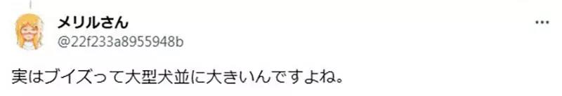 我的世界基岩版【】下载