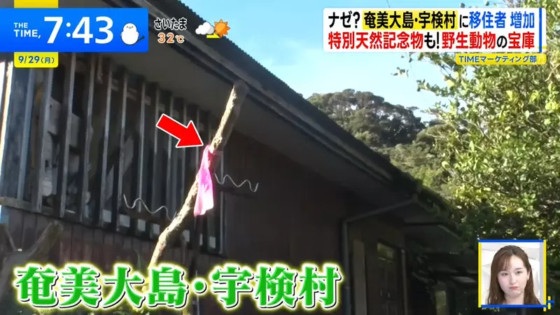 日本电视台探访“离岛的神秘习俗”,路边经常会出现绑着粉红布条的棒子!其实这是让你保命的用心棒! - 奇趣星球报 - 奇趣星球报