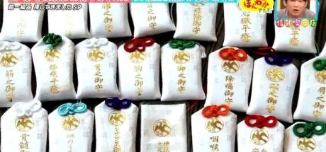 日本电视台探访“御守分得比医院还细的神社”，从头到脚甚至内脏全包了！神社负责人自己都吐槽似乎不用那么多！ - 我的世界基岩版中文站