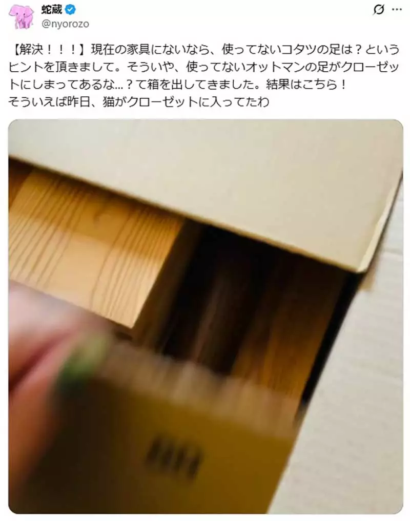 《漫画家蛇藏》家中的猫咪突然叼来超大根螺丝 急问网友可能是从哪里冒出来？