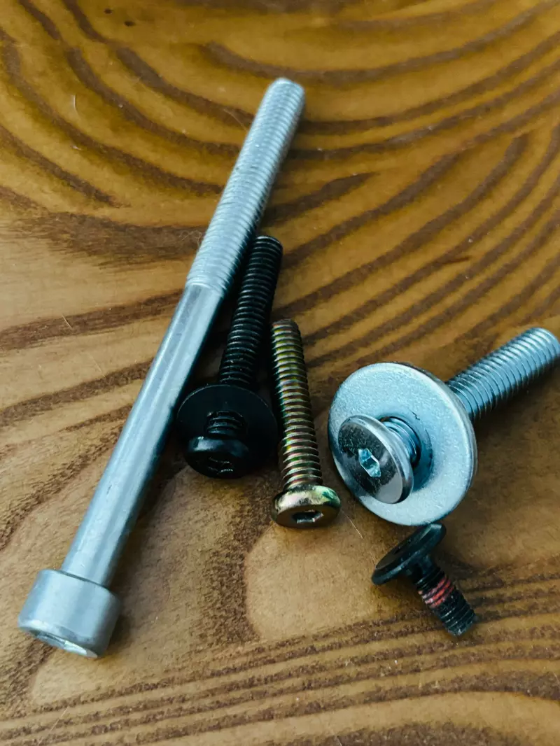 《漫画家蛇藏》家中的猫咪突然叼来超大根螺丝 急问网友可能是从哪里冒出来？