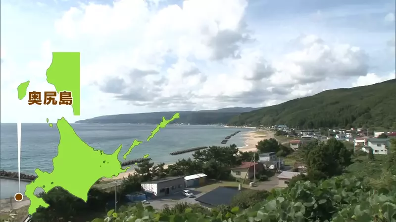 日本北海道奥尻岛上的《黑猫宅急便》不只送货竟然也送人？