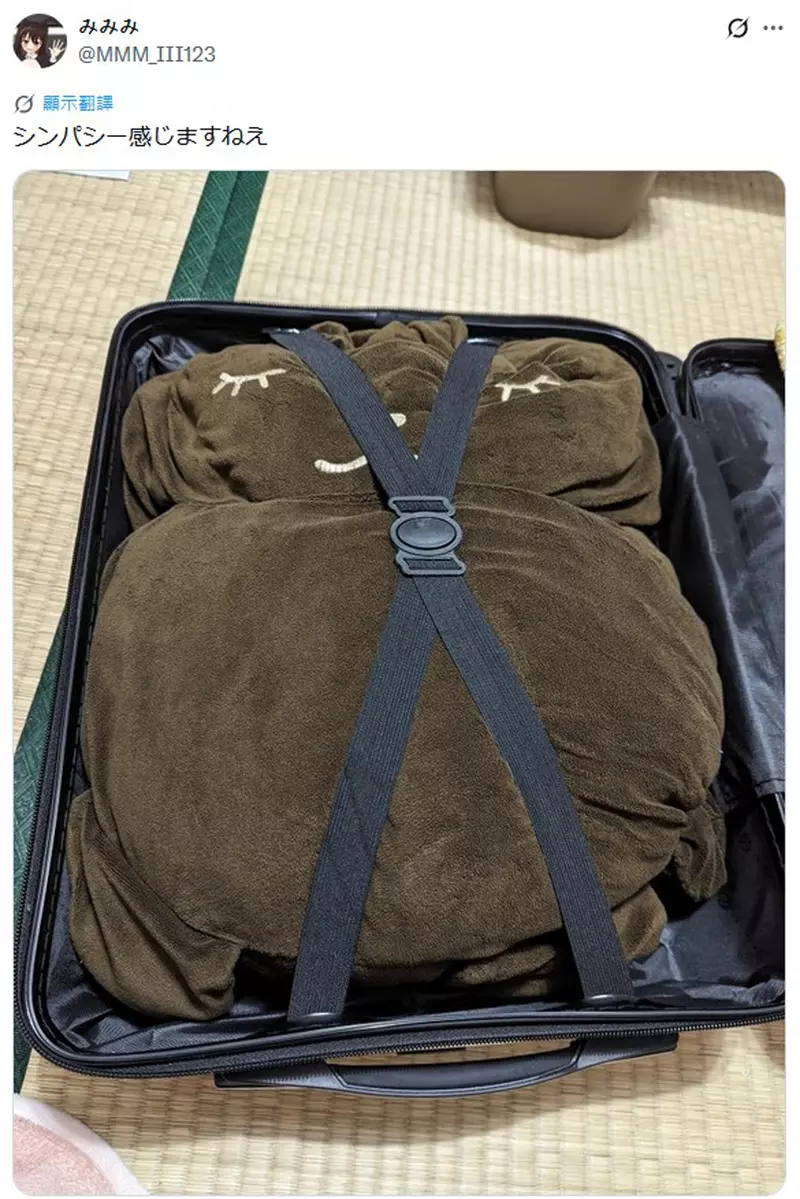 日本网友分享“装在行李箱内的皮卡丘玩偶”，没它就会睡不着！所以每次旅行一定都会带着！