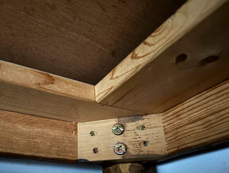 《漫画家蛇藏》家中的猫咪突然叼来超大根螺丝 急问网友可能是从哪里冒出来？