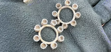 日本网友议论“老人才知道的玩具”，路边意外捡到的小玩意竟引起众多人怀念！其实这种小玩意至今依然很实用，被不少人用来驱赶野生动物！ - 奇趣星球报