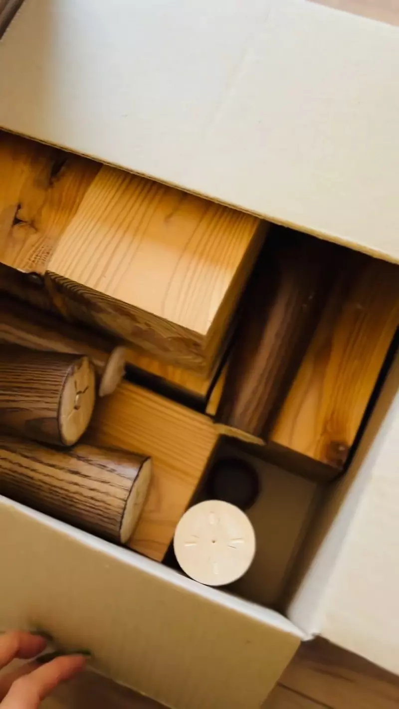 《漫画家蛇藏》家中的猫咪突然叼来超大根螺丝 急问网友可能是从哪里冒出来？