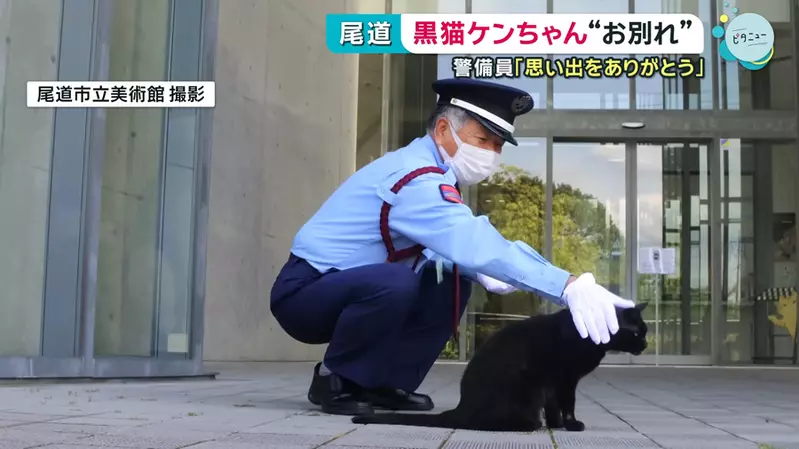 日本尾道市立美术馆“警卫与黑猫攻防战曾是一道特别的风景线”，然而这温馨一幕如今已成为过去！因为黑猫已于近日离世！ - 奇趣星球报 - 奇趣星球报