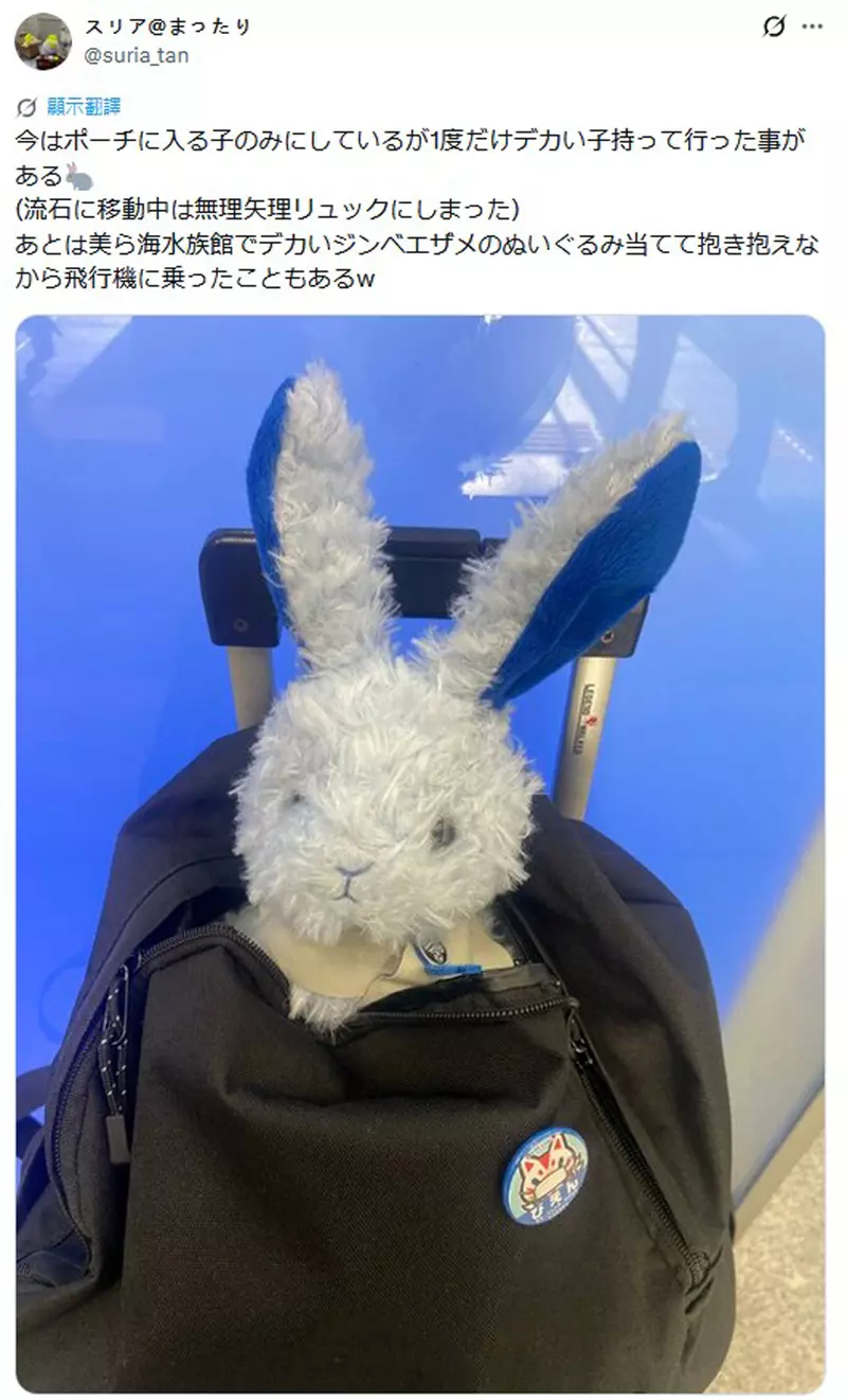 日本网友分享“装在行李箱内的皮卡丘玩偶”，没它就会睡不着！所以每次旅行一定都会带着！