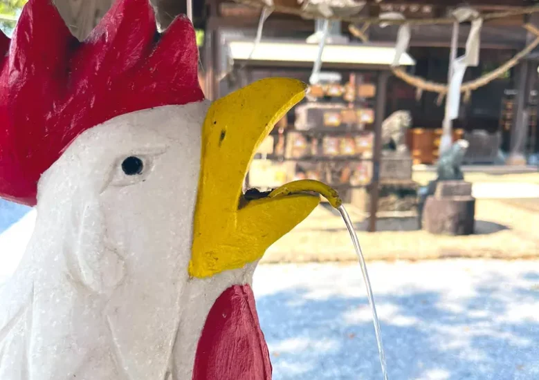 日本栃木市奇妙的鸡神社，神社范围内竟“严禁食用鸡肉和鸡蛋”！神职人员甚至自古沿袭，代代都不沾鸡肉或鸡蛋！ - 奇趣星球报 - 奇趣星球报