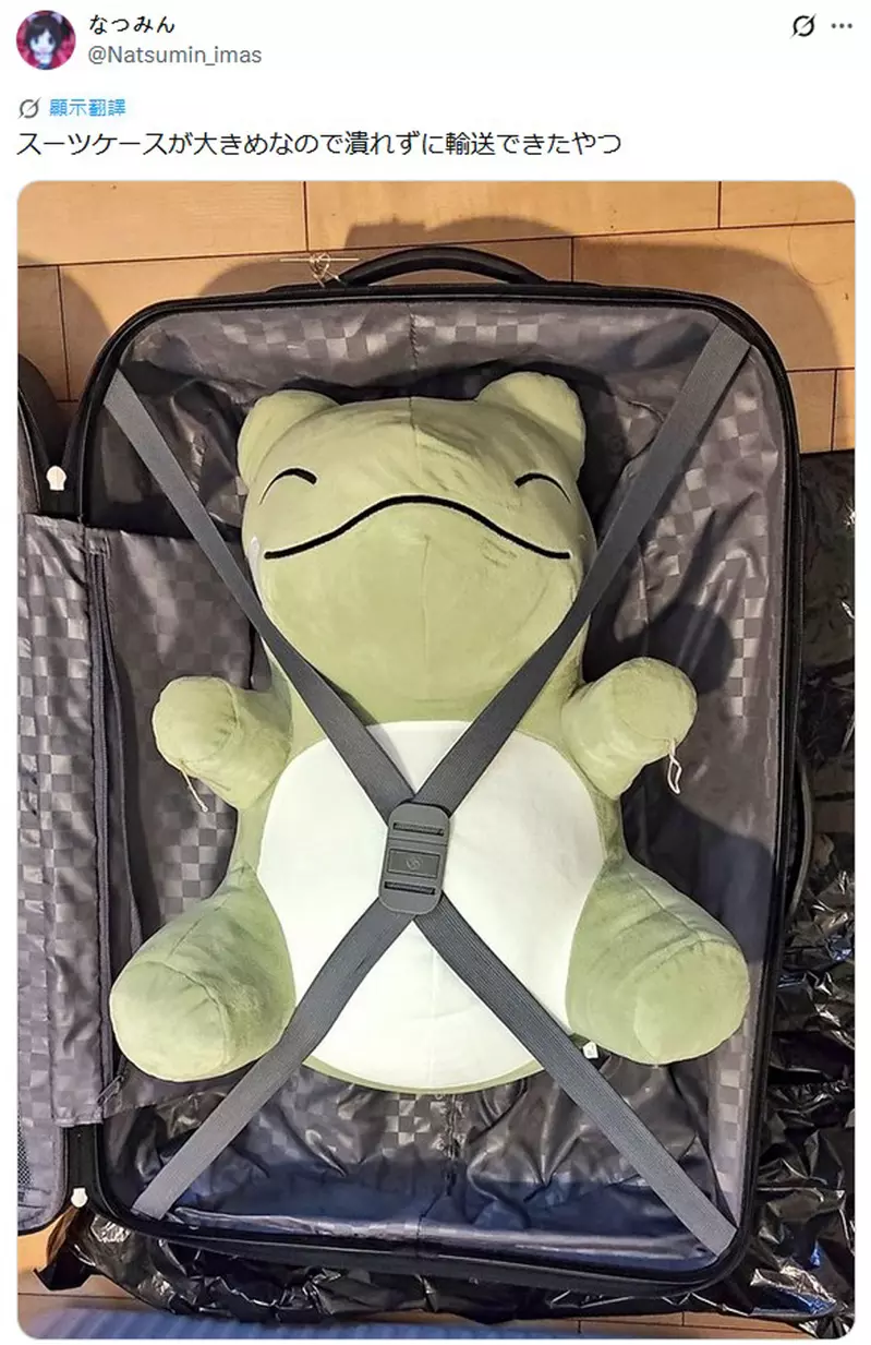 日本网友分享“装在行李箱内的皮卡丘玩偶”，没它就会睡不着！所以每次旅行一定都会带着！