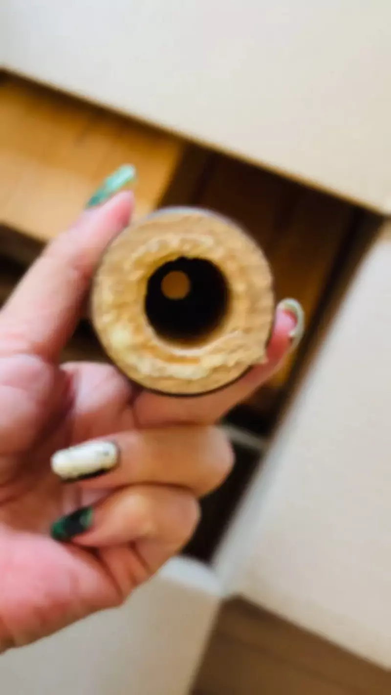 《漫画家蛇藏》家中的猫咪突然叼来超大根螺丝 急问网友可能是从哪里冒出来？