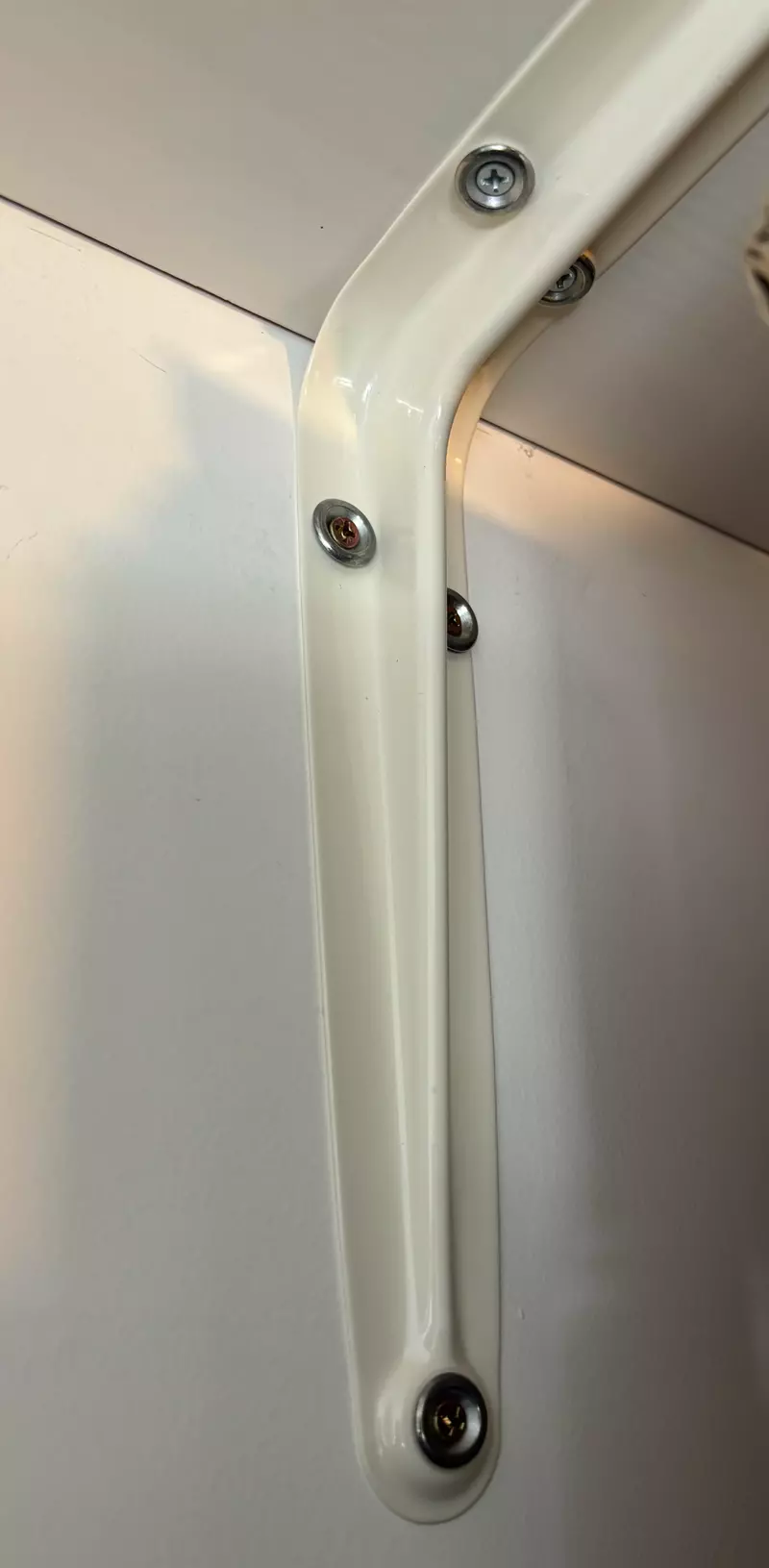 《漫画家蛇藏》家中的猫咪突然叼来超大根螺丝 急问网友可能是从哪里冒出来？