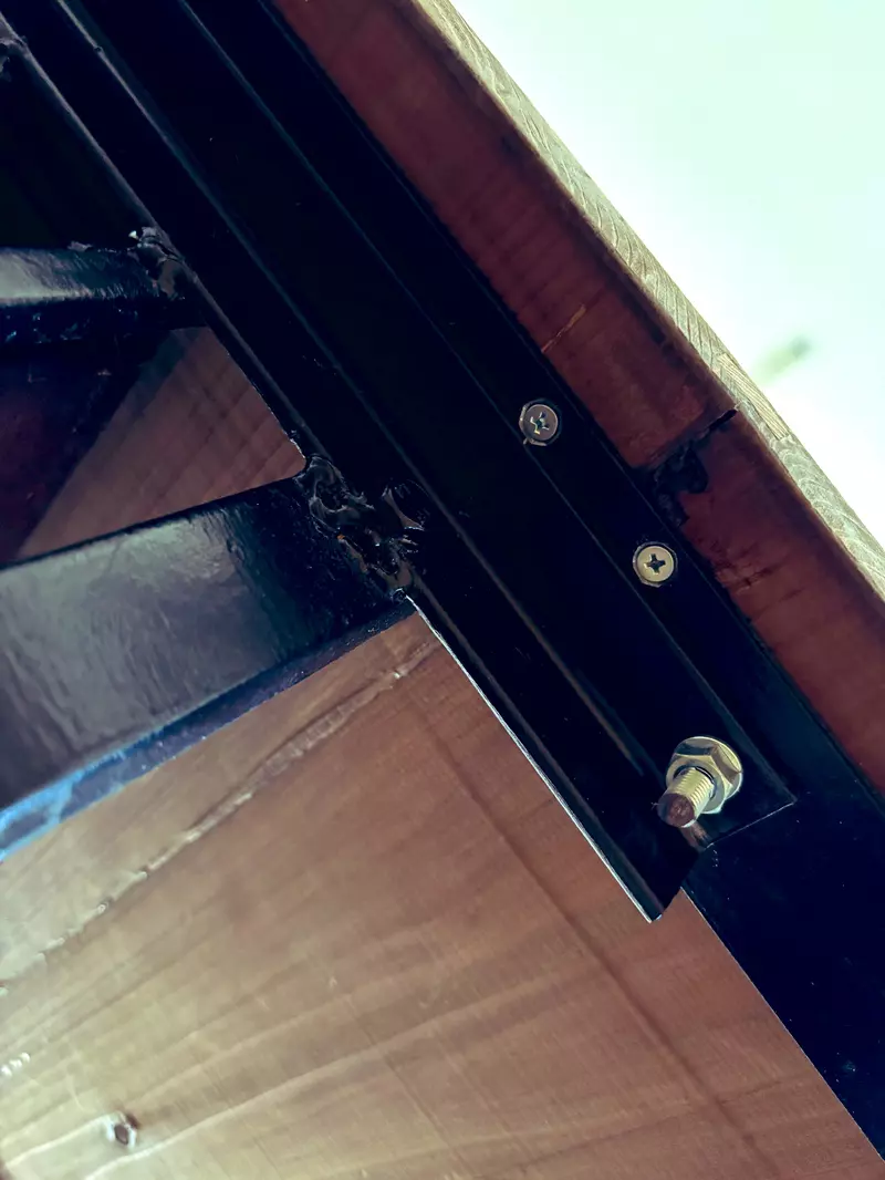 《漫画家蛇藏》家中的猫咪突然叼来超大根螺丝 急问网友可能是从哪里冒出来？