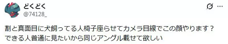 坐在椅子上《乖乖被拍照的狗》日本网友好奇这种狗狗真的很多吗? 坐在椅子上《乖乖被拍照的狗》日本网友好奇这种狗狗真的很多吗?