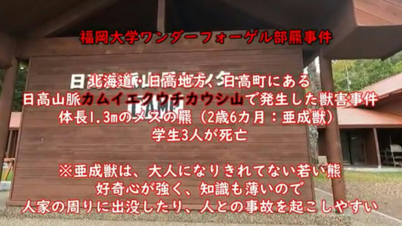 日本北海道“45年前曾发生恶性熊害意外”!专家事后指出因缺乏经验没能及时撤离,才最终酿成了悲剧! - 奇趣星球报 - 奇趣星球报