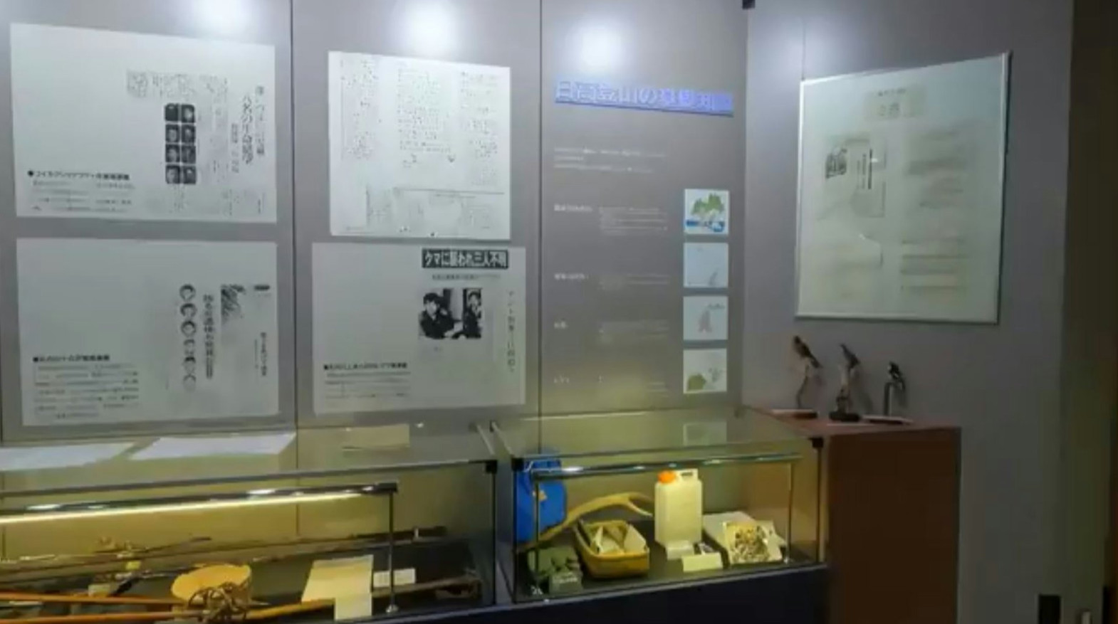 图片[6] - 日本北海道“45年前曾发生恶性熊害意外”！专家事后指出因缺乏经验没能及时撤离，才最终酿成了悲剧！ - 奇趣星球报 - 奇趣星球报