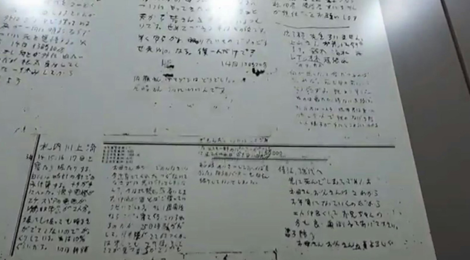 图片[13] - 日本北海道“45年前曾发生恶性熊害意外”！专家事后指出因缺乏经验没能及时撤离，才最终酿成了悲剧！ - 奇趣星球报 - 奇趣星球报