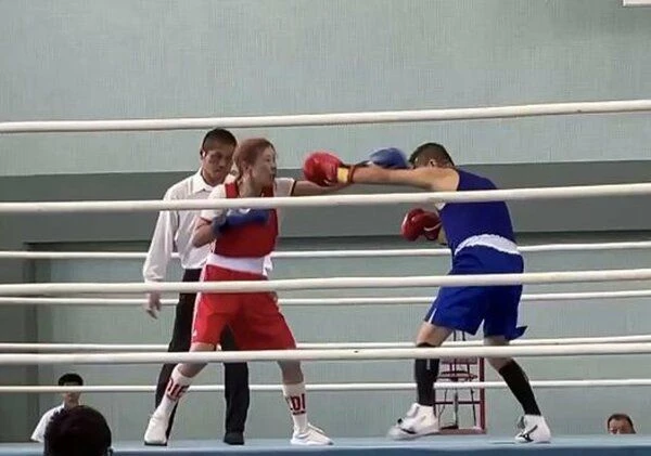 日本“零碰撞”马斯拳击崛起，京都团队创新摘全国桂冠！ - 奇趣星球报 - 奇趣星球报