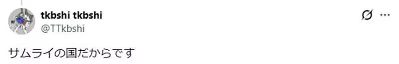 外国人疑惑《日本的机器人》为什么都要拿剑呢？单纯因为帅还是有其他理由呢？