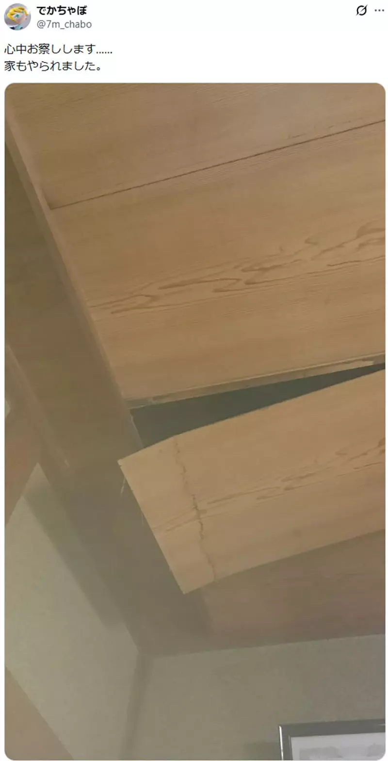 日本猫主人的天花板灾难！你家猫咪也这么能“拆家”吗？