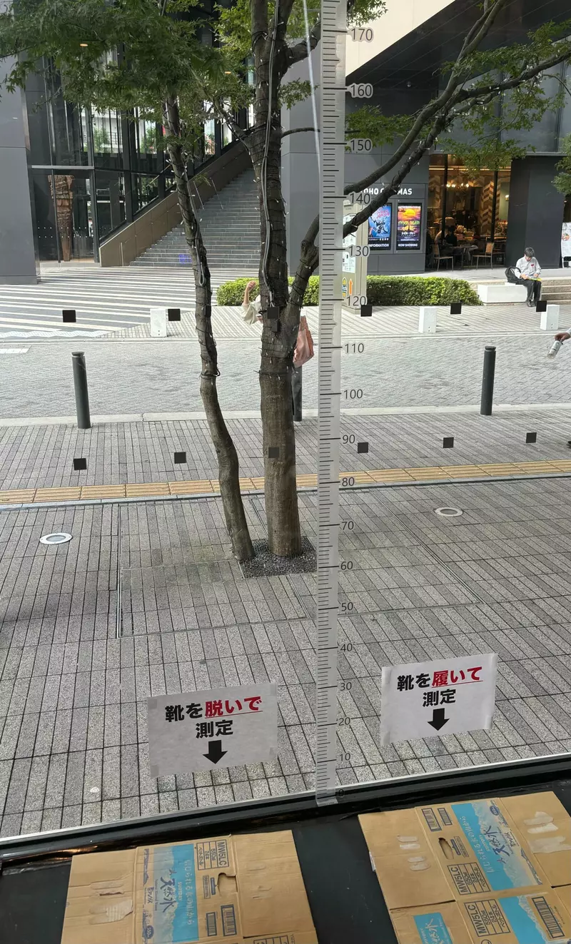 我的世界基岩版【】下载 我的世界基岩版【】下载