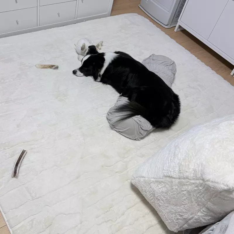 我的世界基岩版【】下载